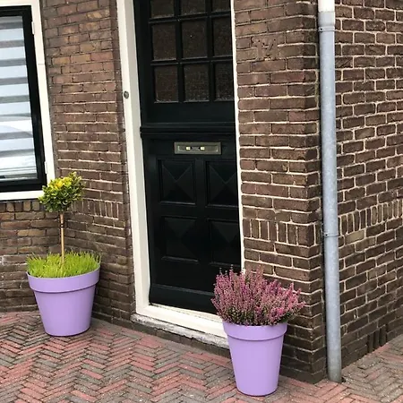 Lovely Tiny House Beverwijk/amsterdam Beverwijk